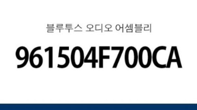 포터2 블루투스 오디오: 후회 없는 선택? 솔직 후기와 꿀팁 대방출!