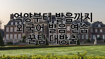 🗣️ 억양부터 발음까지! 외국어 발음 연습 꿀팁 대방출 🍯