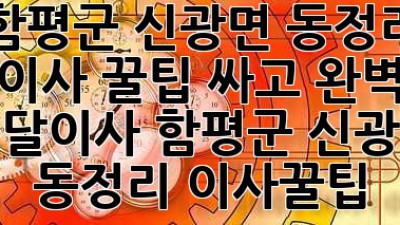 함평군 신광면 동정리 용달이사 꿀팁🍯: 싸고 완벽하게! #용달이사 #함평군 #신광면 #동정리 #이사꿀팁